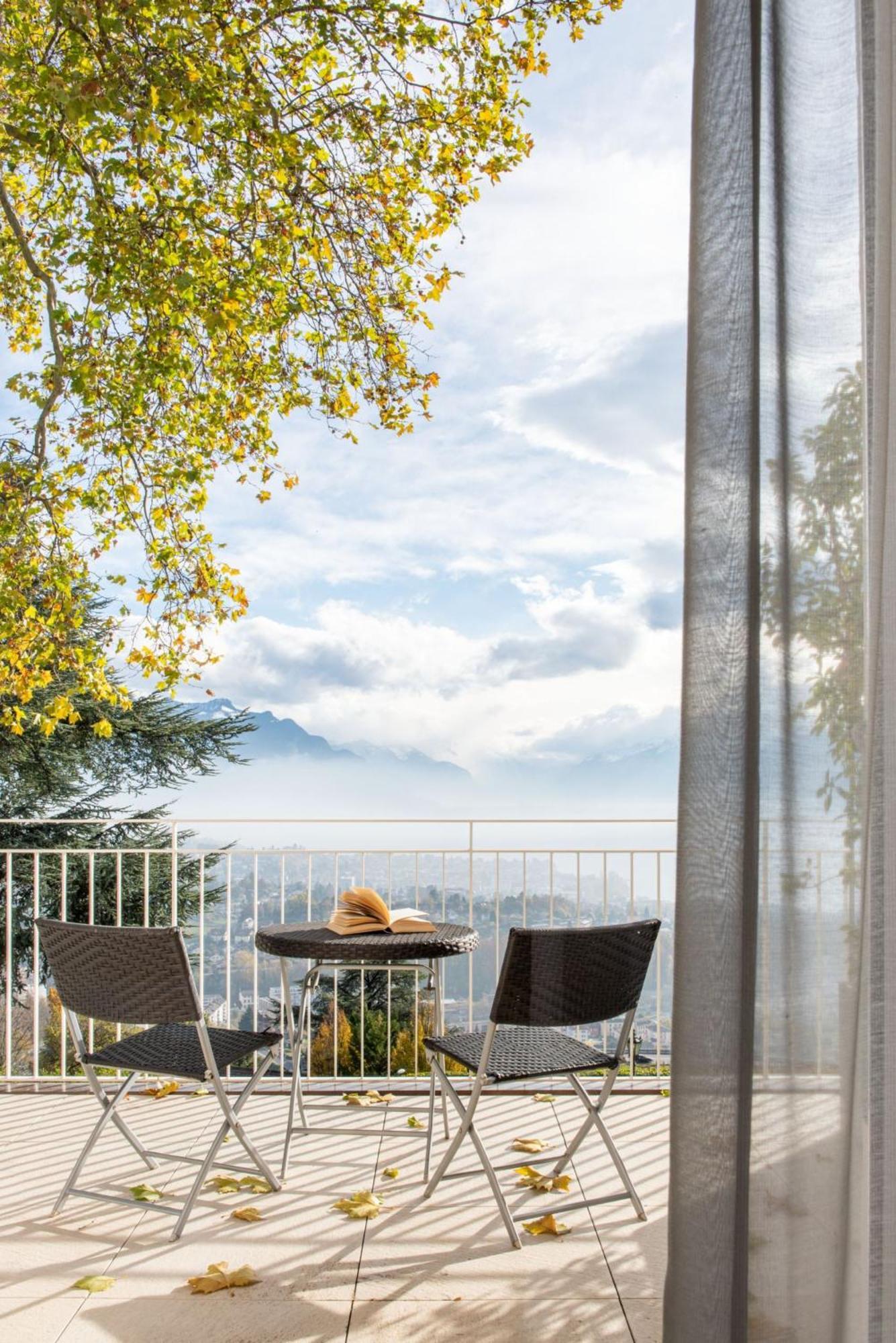 Hotel Du Leman - Jongny 3*